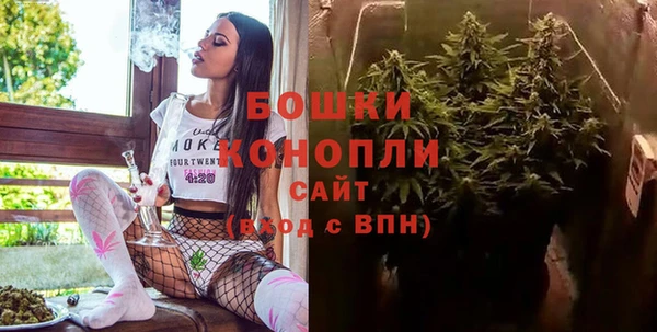 стаф Мегион