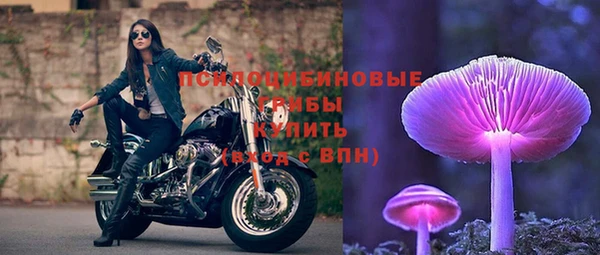 мяу мяу мука Магас
