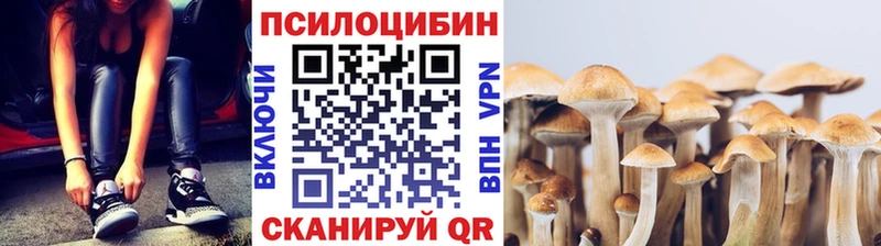Купить  Красноармейск  Галлюциногенные грибы Magic Shrooms 